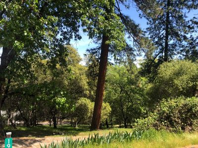 19119 Hummingbird Dr, Penn Valley, CA, 95946