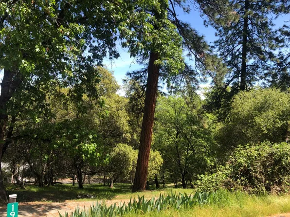 19119 Hummingbird Dr, Penn Valley, CA 95946