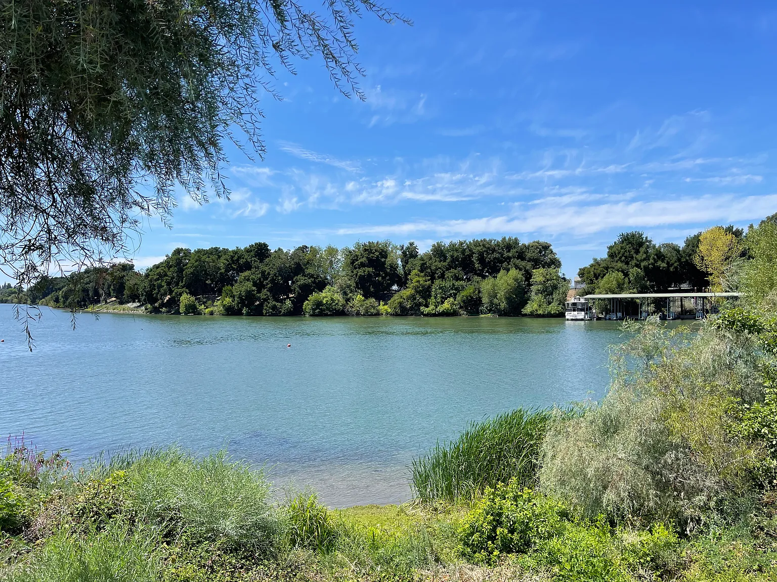 1 bed, 1200 sqft, $1,675 — Photo 3