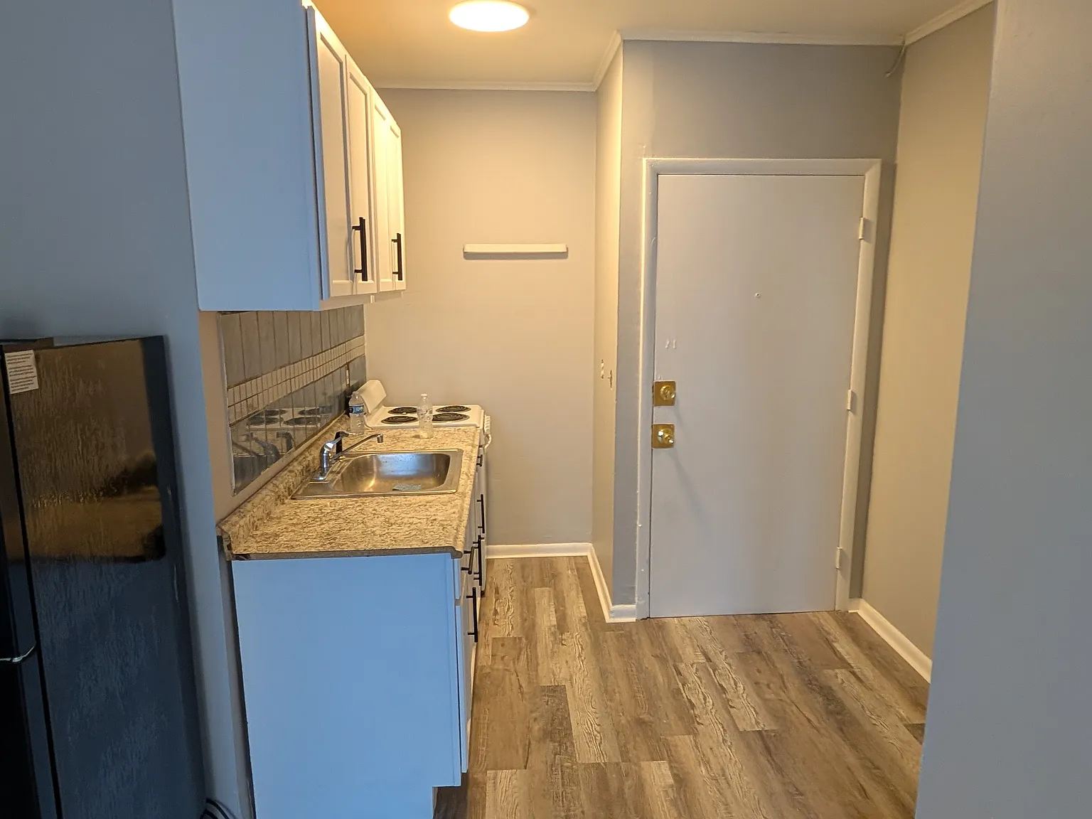 1 bed, 590 sqft, $1,250 — Photo 2