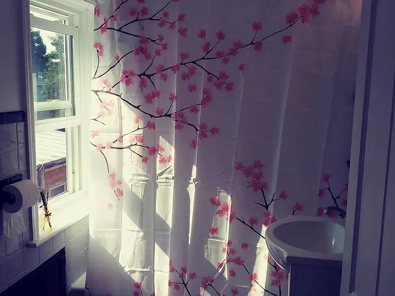 417 W Walnut St #3 — Photo 5