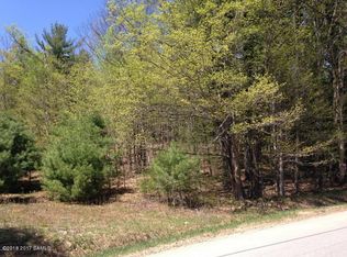 817 Zaltz Rd, Athol, NY 12810