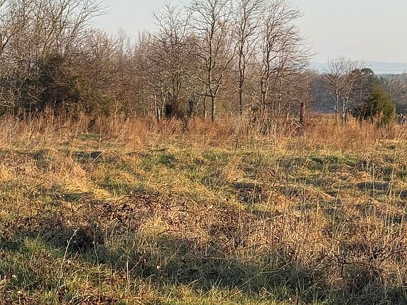 2nd image of Carolina Ridge Rd Lot 10