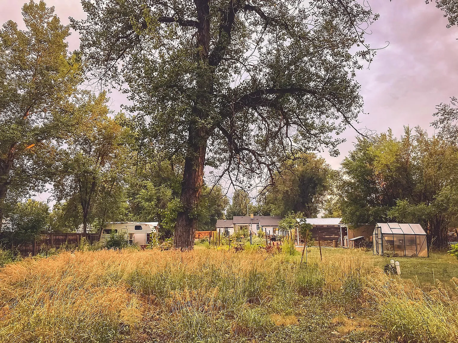 2 bed, 1200 sqft, $2,700 — Photo 2
