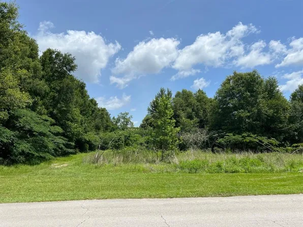 Lemon Ave Lot 15, Lake Helen, FL 32744