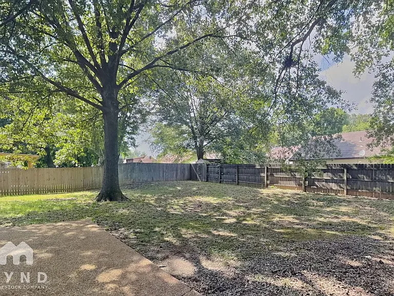 7002 Timber Rise Cv — Photo 22