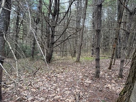 3rd image of 000 NH Rte 175 Road