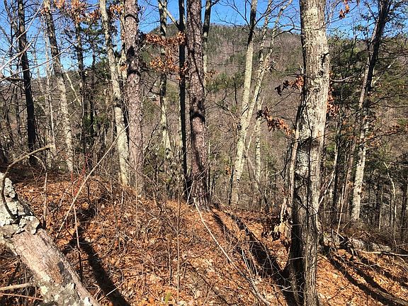 4th image of 5 Chestnut Ridge Ct Lot 5