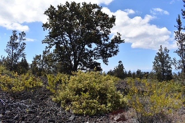 1st image of Kona Dr Lot 5