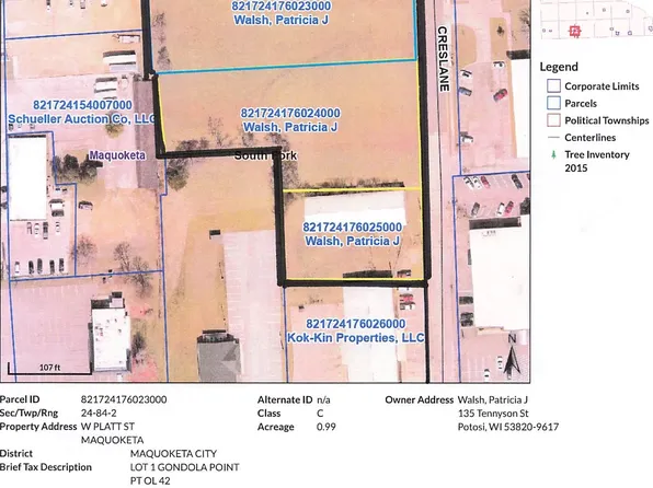 W Platt St, Maquoketa, IA 52060
