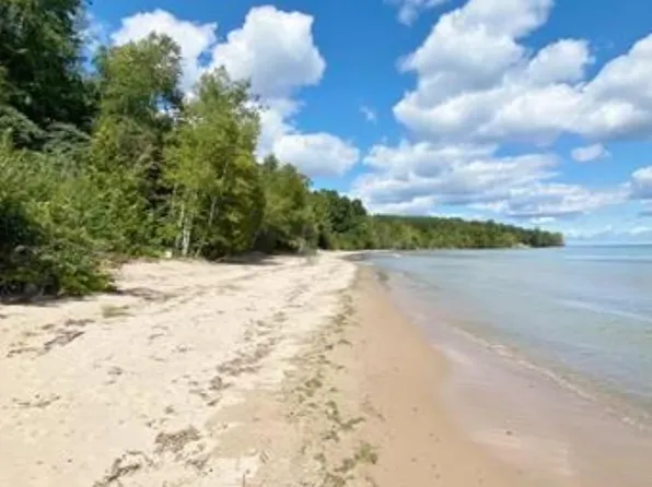 6248 Lakeshore Rd, Palms, MI 48465