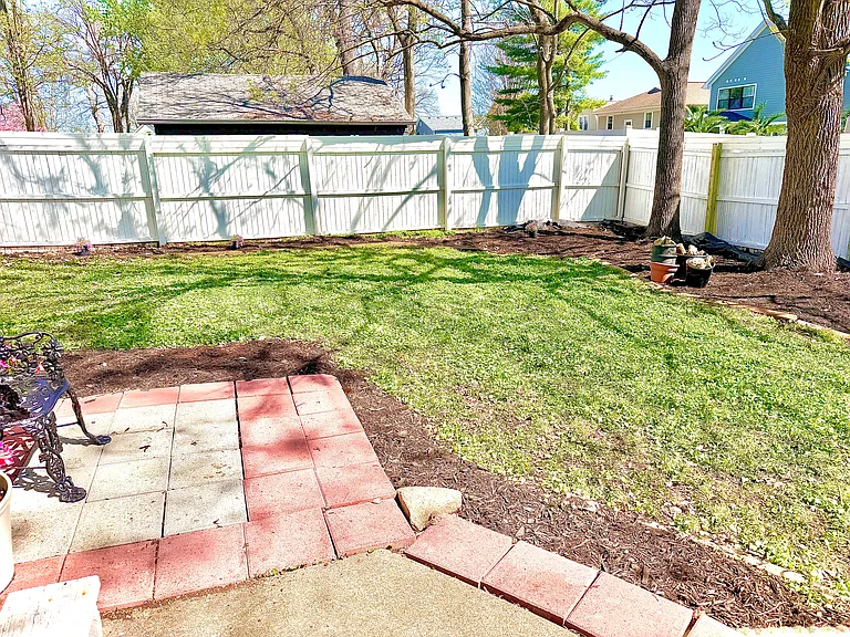 back yard