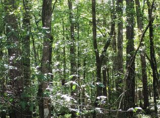 10701 Chattsworth Rd, Midland, GA 31820