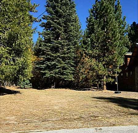 2nd image of 33750 Meadow Ln