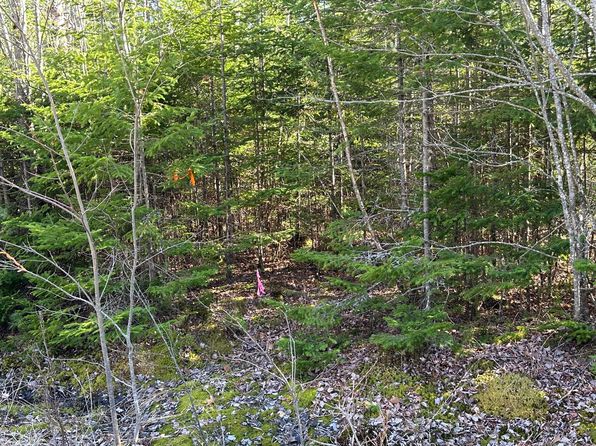 Lot 14 Merganser Drive, Gouldsboro, ME 04607