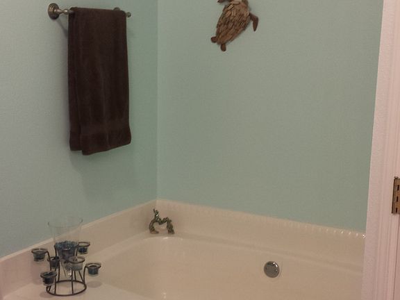 Master bath tub