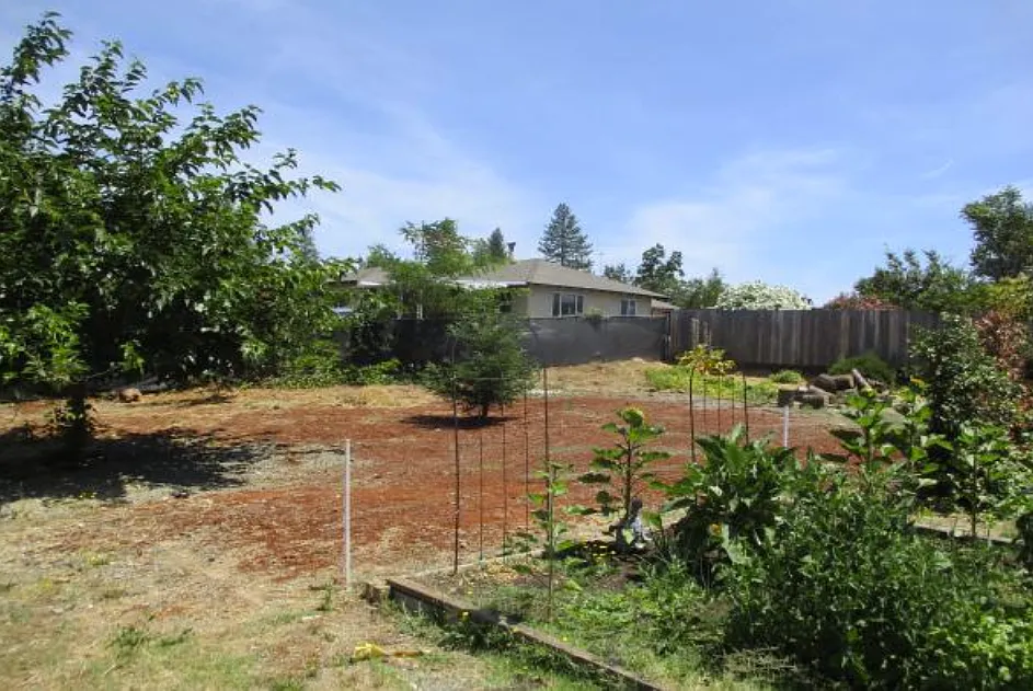 3 bed, 1470 sqft, $2,400 — Photo 4