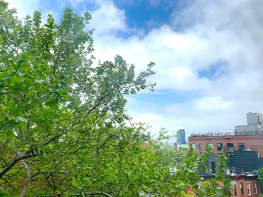 Rented by Platinum Properties | media 10