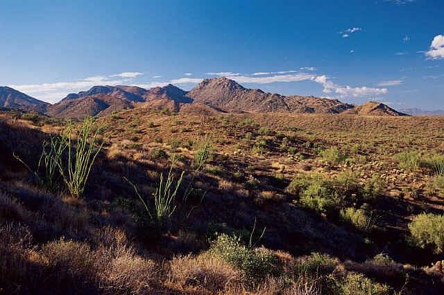 1st image of 14310 E DESERT TORTOISE Terrace #33