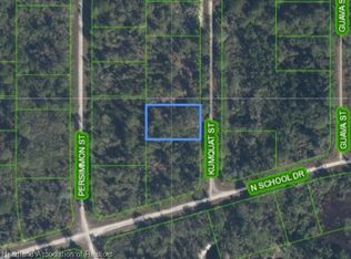 1246 Kumquat St, Lake Placid, FL 33852