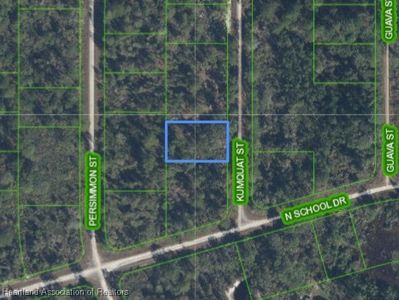 1246 Kumquat St, Lake Placid, FL, 33852