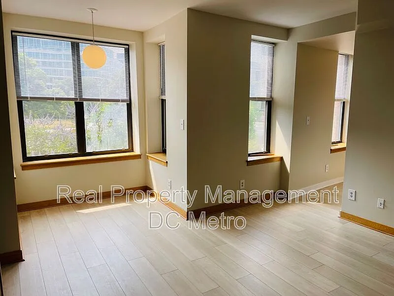 1 bed, 1.0 bath, 567 sqft, $2,350 — Photo 2