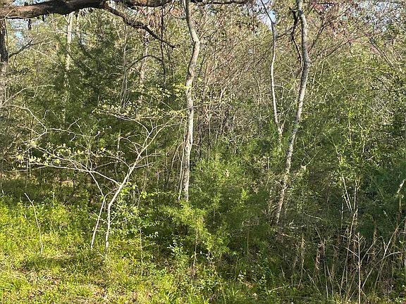 4th image of Fm 542