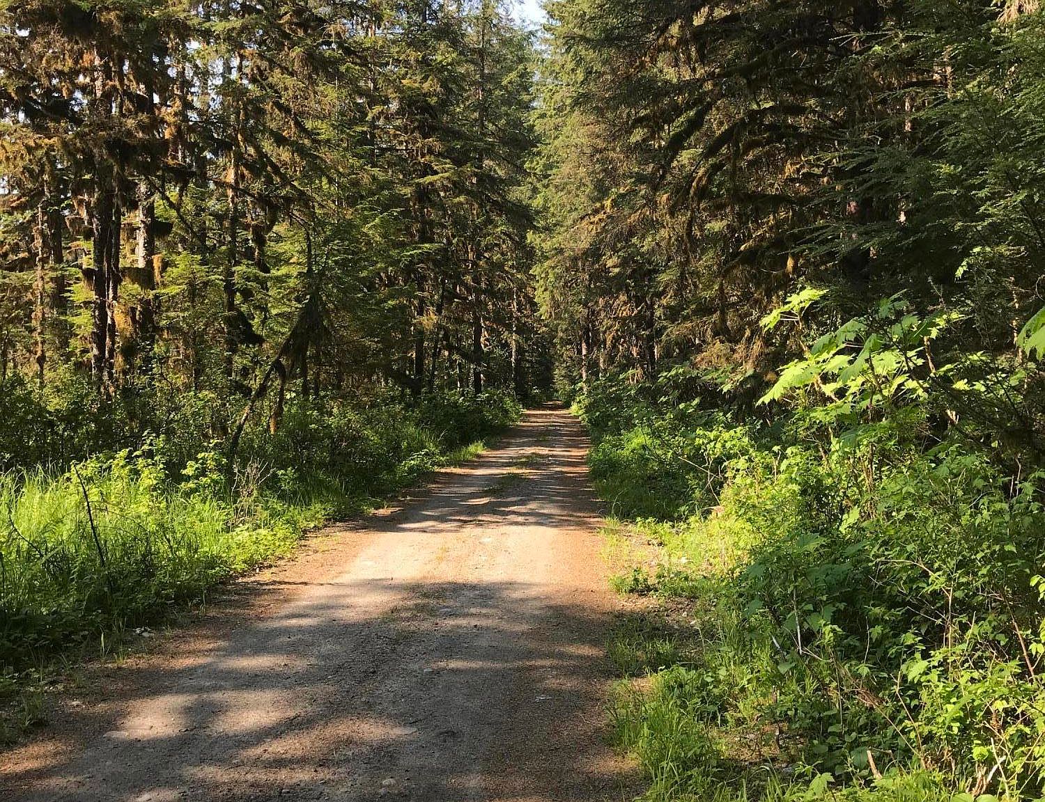 L5 Point Agassiz Hwy, Petersburg, AK 99833 | Zillow