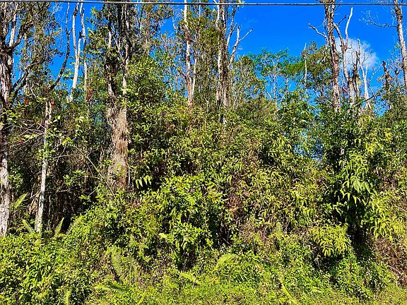 2nd image of Kahukai St Lot 31