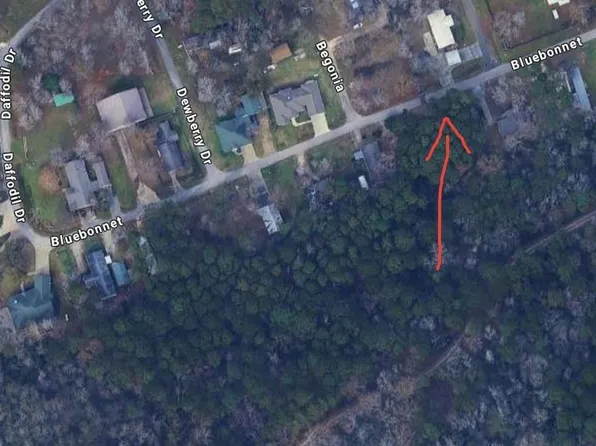 Lots 19 And 20 Bluebonnet, Livingston, TX 77351