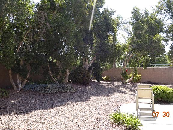 Back yard