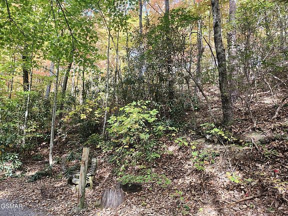 4th image of 11 Bluff Mtn. Rd.