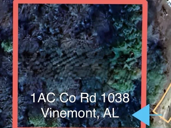 1AC County Road 1038, Vinemont, AL 35179