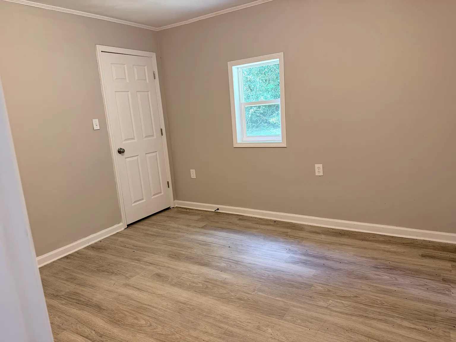 2 bed, 900 sqft, $1,250 — Photo 3