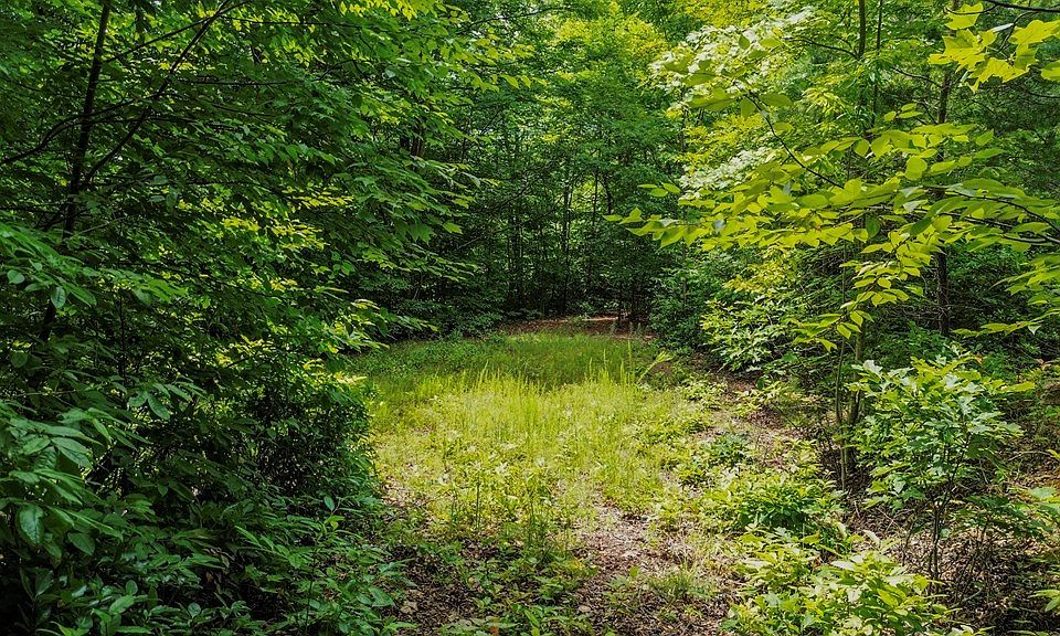 2nd image of 0 Spring Mountain Cir