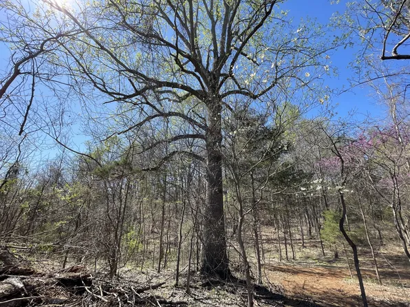 0 Kacie Dr, Pleasant View, TN 37146