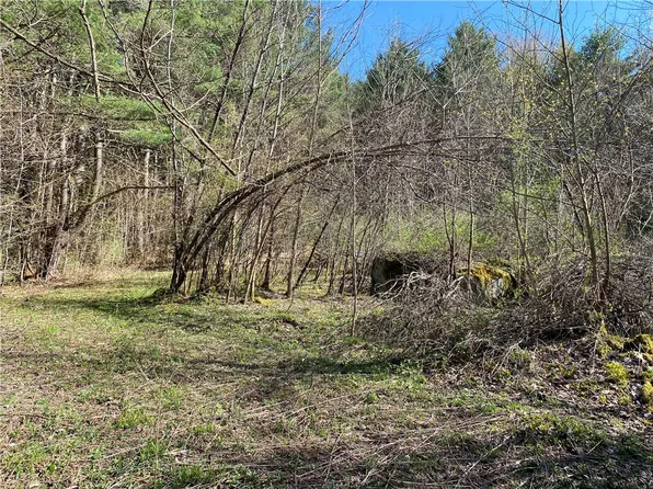 (undisclosed Address), Roseboom, NY 13450