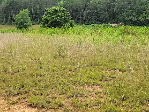 5th image of 0 Rose Creek Trl