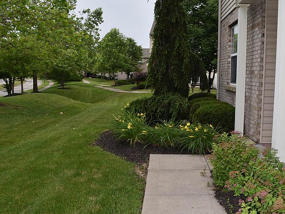 3rd image of 3843 Thorngate Dr