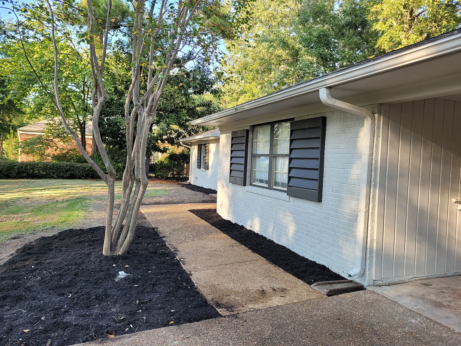 3 bed, 1850 sqft, $2,900 — Photo 3