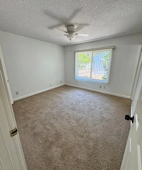 520 Huff St — Photo 9