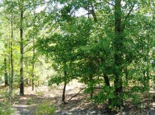 1817 Macedonia Church Rd, Cheraw, SC 29520