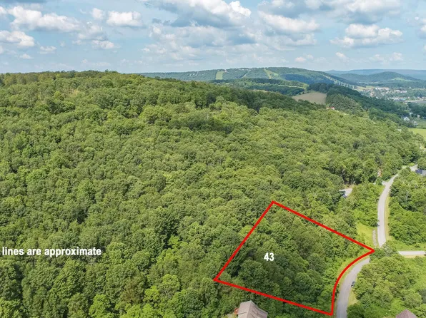 43 Smiley Face Ln, Mc Henry, MD 21541