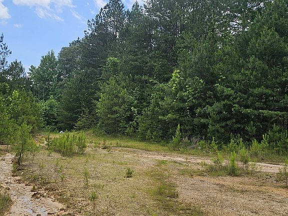 4th image of 33/ACRES-0 County Road 27