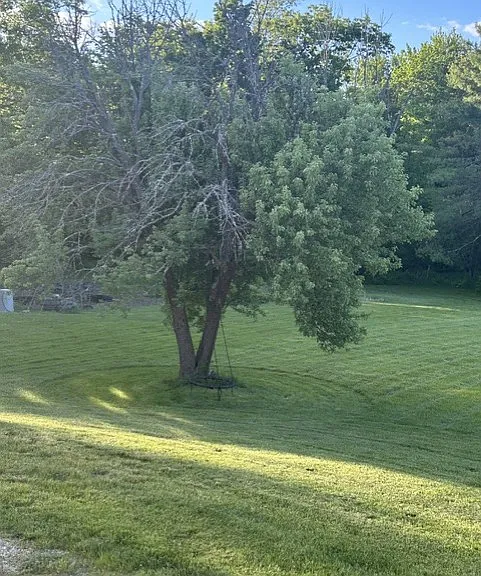 293 Bear Hill Rd #3 — Photo 16