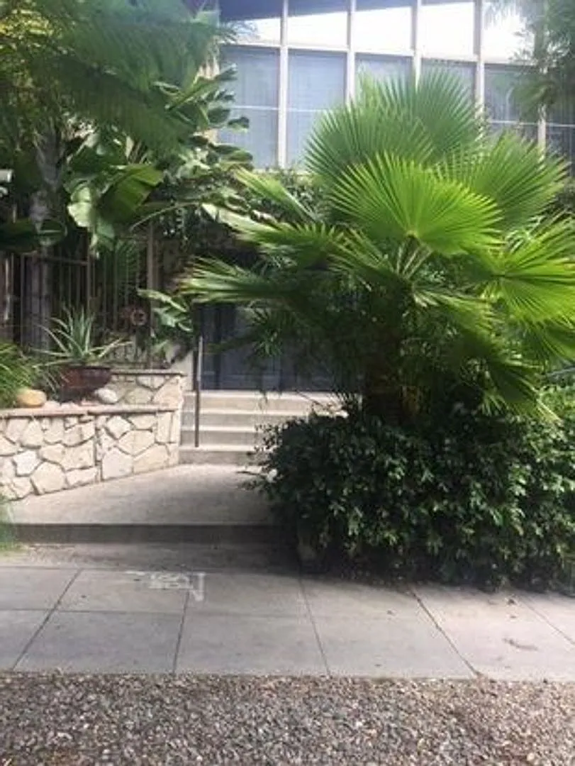 Hayworth — Photo 3