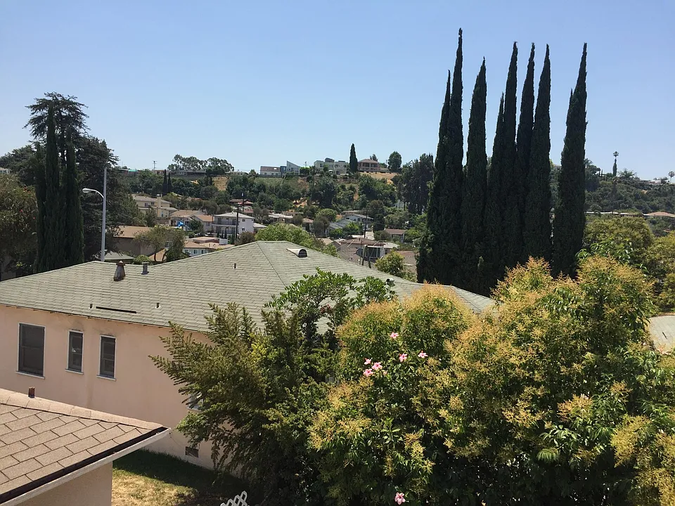 view from the balcony