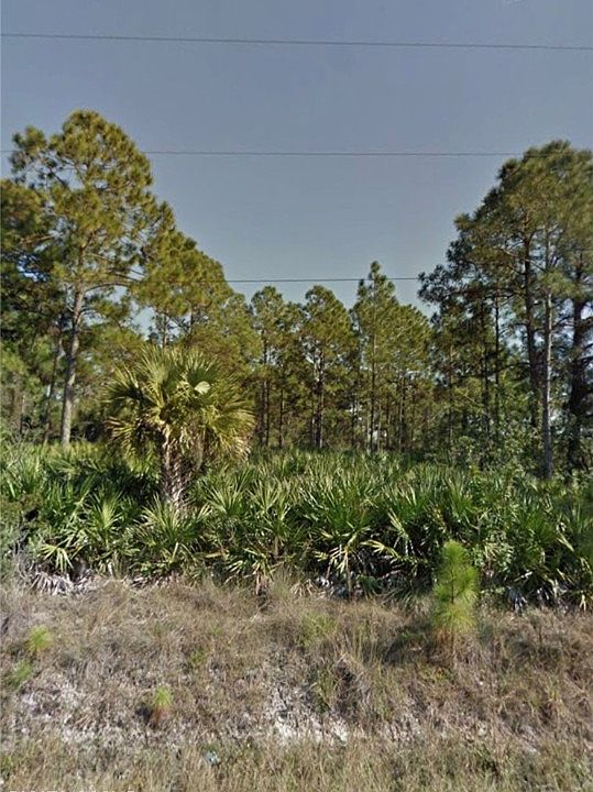1st image of 802 Acacia Ave