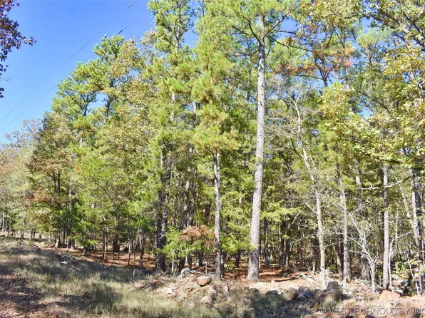 3 Briar Branch Rd, Antlers, OK 74523