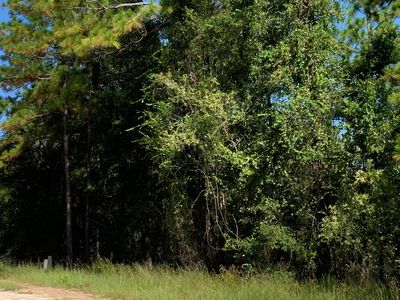 1200 Baden Powell Rd, Hawthorne, FL, 32640